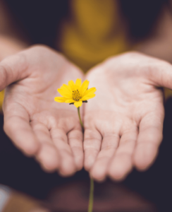 daniel mingook kim UXR t8CZ1U unsplash 12