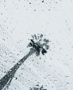 daniel mingook kim UXR t8CZ1U unsplash 18 2