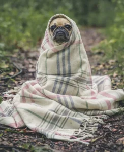 matthew henry U5rMrSI7Pn4 unsplash 834x1024 1