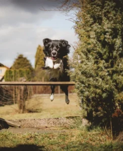 Das Leben ist schön! Was macht ein erfülltes Leben aus? 13 tadeusz lakota QDShpt3r 4g unsplash 834x1024 1