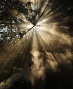 Das Leben ist schön! Was macht ein erfülltes Leben aus? 11 wonderlane rmULTYorYQ unsplash 835x1024 1