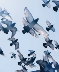 zac ong hPOFScEaZcA unsplash 835x1024 1