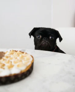 charlesdeluvio D44HIk qsvI unsplash 834x1024 1