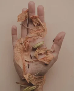 rebootanika SQcOKrb1Lww unsplash 834x1024 1