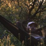 sorin gheorghita fCQqZfrF5i4 unsplash scaled 1