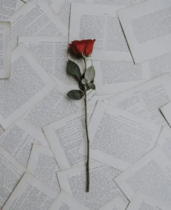 annie spratt fDghTk7Typw unsplash 834x1024 1