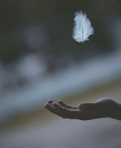 javardh FL6rma2jePU unsplash 1252x1536 1