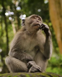 juan rumimpunu nLXOatvTaLo unsplash 834x1024 1